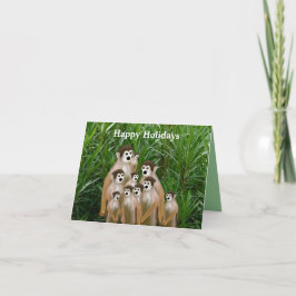 Tarjetas fotográficas familiares Vervet