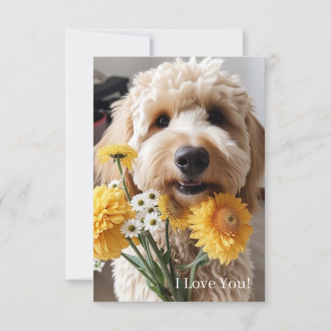 Tarjetas Goldendoodle (Anverso)