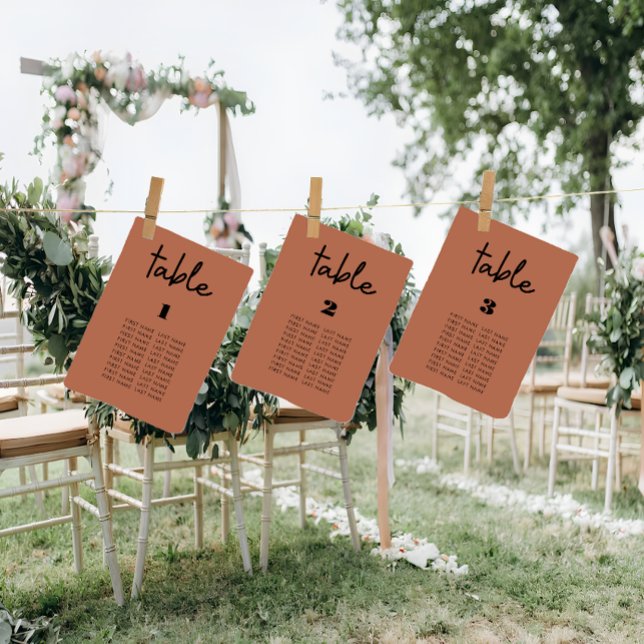 Tarjetas gráficas modernas de asientos boda Terrac (Terracotta wedding seating chart cards
)