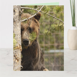 TARJETAS GRANDES DE CUMPLEAÑOS DE OSO GRIZZLY