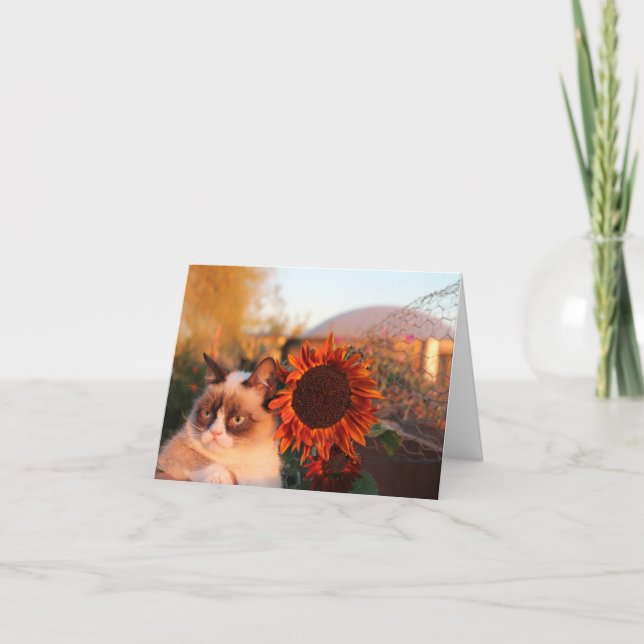 Tarjetas Grumpy Cat Sunflower Note (Anverso)