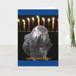 Tarjetas Hanukkah de loro gris africano