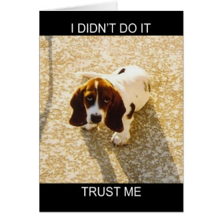 Tarjetas Hound de Bassett