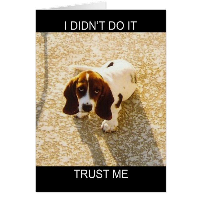 Tarjetas Hound de Bassett (Frente)