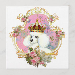 Tarjetas invitadas de la Princesa Blanca de Carbon