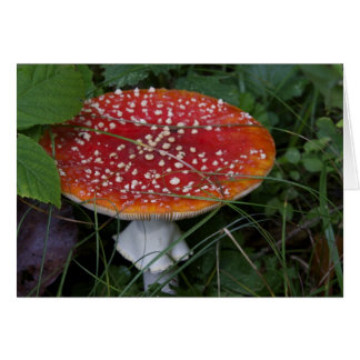 Tarjetas italianas, Borgo Valsugana