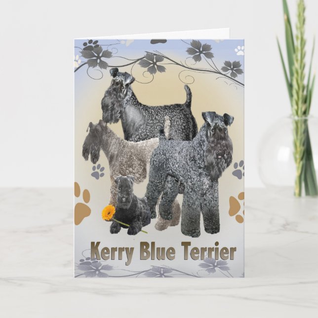 Tarjetas Kerry Blue Terrier (Anverso)
