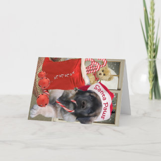 Tarjetas Leonberger Santa Paws