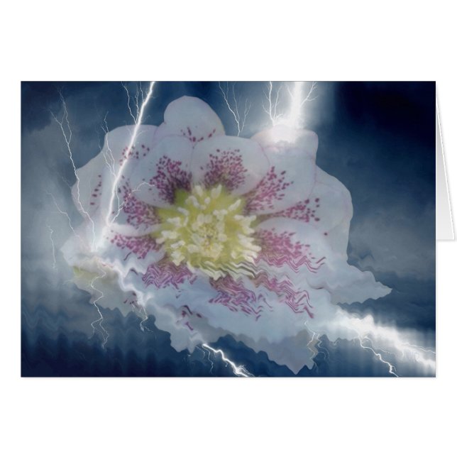 Tarjetas Lightning blancas (Anverso (Horizontal))
