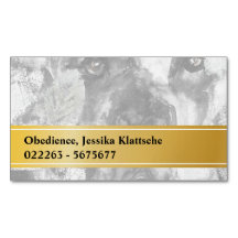 Tarjetas magnéticas