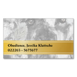 Tarjetas magnéticas