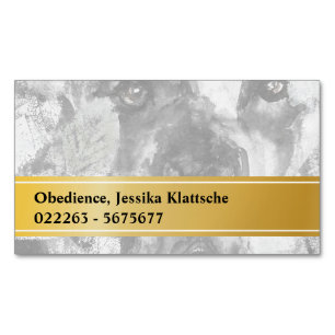 Tarjetas magnéticas