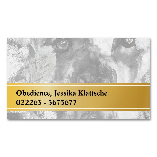 Tarjetas magnéticas (Anverso)