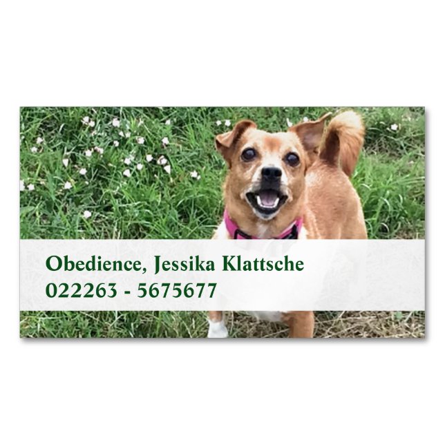 Tarjetas magnéticas (Anverso)