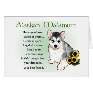 Tarjetas Malamute de Alaskan