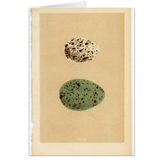 Tarjetas manchadas vintage del huevo