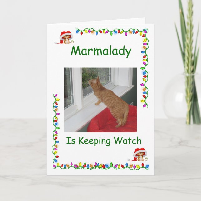 Tarjetas Marmalady Cat Rescue Navidades (Anverso)