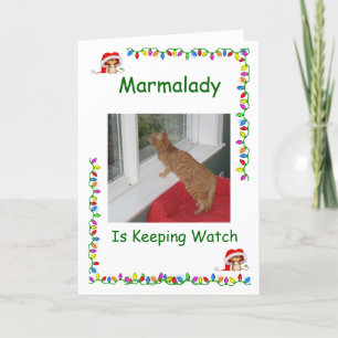 Tarjetas Marmalady Cat Rescue Navidades