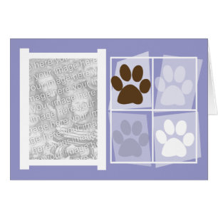 Tarjetas modernas de la foto del perro de la