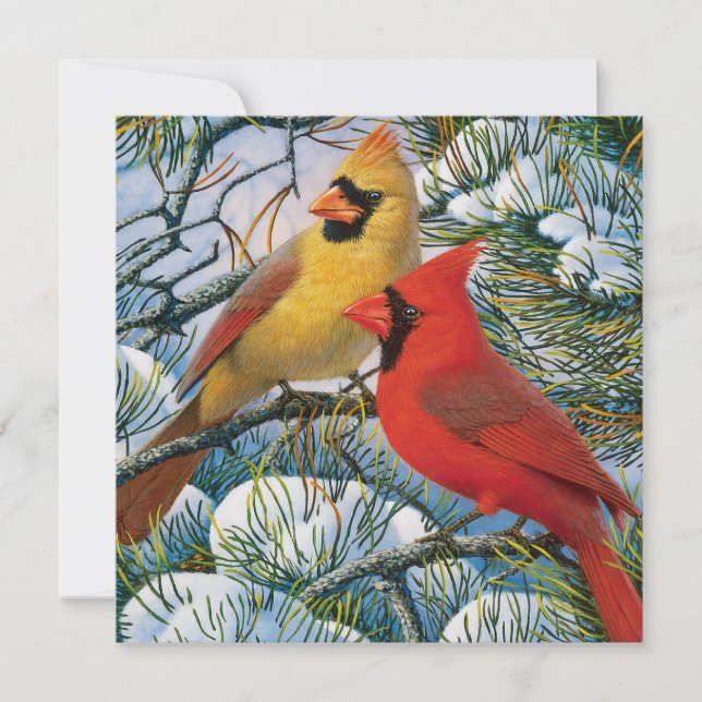 Tarjetas Navideñas De Cardenales Rojas Hermosas Ch (Anverso)