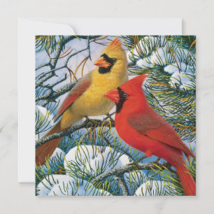 Tarjetas Navideñas De Cardenales Rojas Hermosas Ch