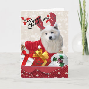 Tarjetas navideñas Samoyer Reindeer Merry