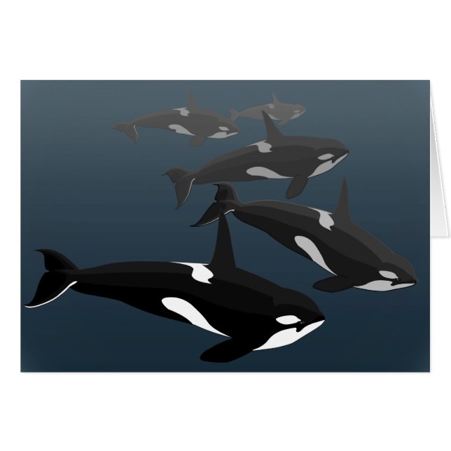 Tarjetas Orca Personalizan Tarjetas de Arte de Bal (Anverso (Horizontal))