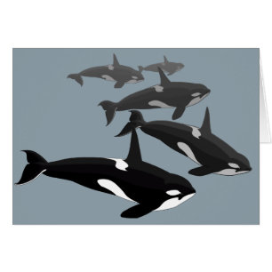 Tarjetas Orca Tarjetas de arte de ballena asesinas