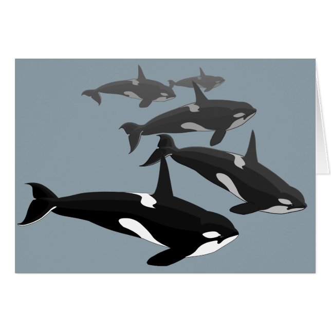 Tarjetas Orca Tarjetas de arte de ballena asesinas (Anverso (Horizontal))