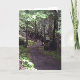 tarjetas pacíficas del rastro de Oregon