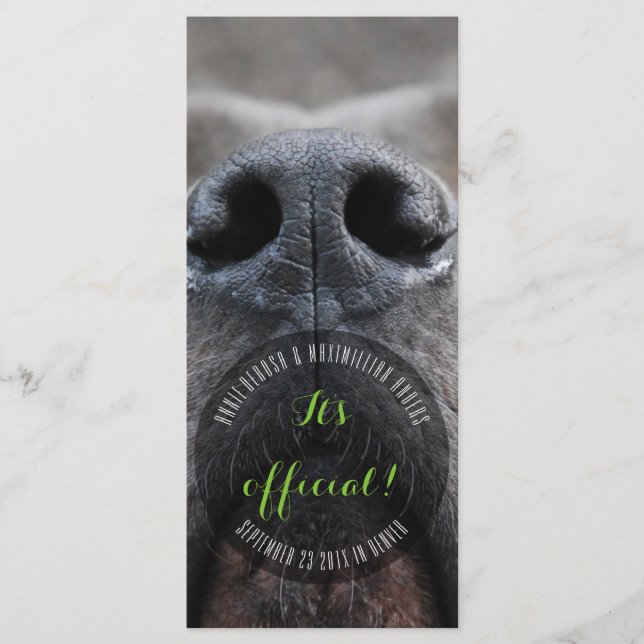 Tarjetas para cremallera Dognose (Anverso)