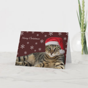 Tarjetas para Navidades de gato