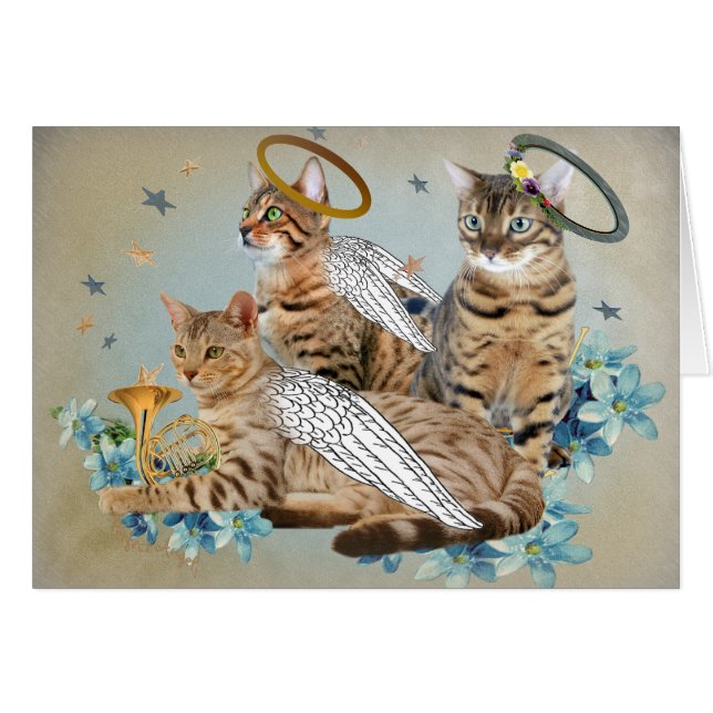 Tarjetas perfectas de los ángeles de Bengala (Anverso (Horizontal))