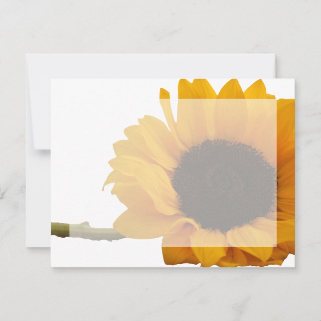 Tarjetas planas de notas fotográficas girasol (Anverso)