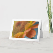 Tarjetas plegadas de cumpleaños felices con foto ú