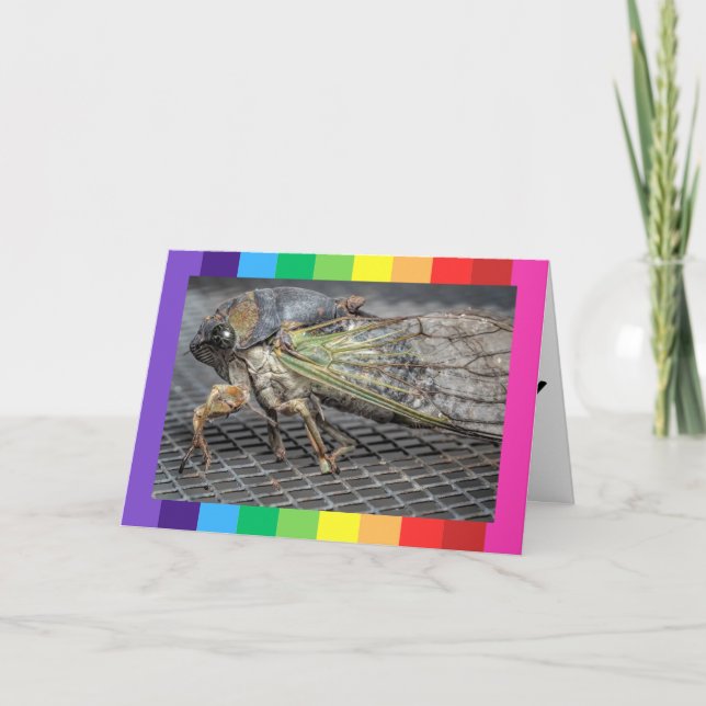 Tarjetas plegadas de cumpleaños felices con foto ú (Anverso)