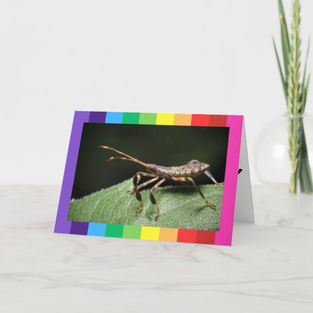 Tarjetas plegadas de cumpleaños felices con foto ú (Anverso)