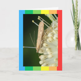 Tarjetas plegadas de cumpleaños felices con foto ú