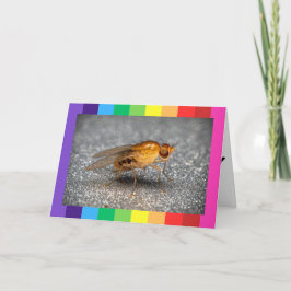 Tarjetas plegadas de cumpleaños felices con foto ú