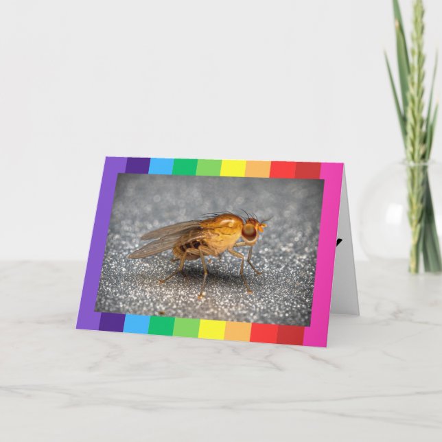 Tarjetas plegadas de cumpleaños felices con foto ú (Anverso)