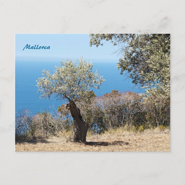 Tarjetas Post de Mallorca (Anverso)