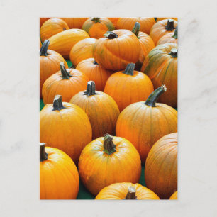 TARJETAS POSTALES AUTUMN DE LAS BOMBAS