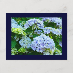 Tarjetas postales azules Jardines Florales Hortens