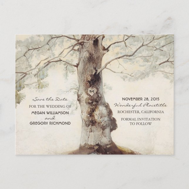 Tarjetas Postales de Ahorro Rústico de Árbol Antig (Anverso)