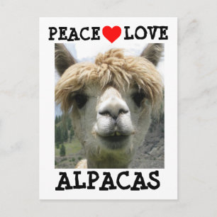 TARJETAS POSTALES DE AMOR DE ALPACA TARJETA POSTAL