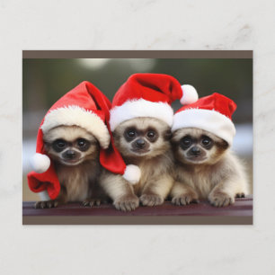 Tarjetas Postales de Animales Festivos
