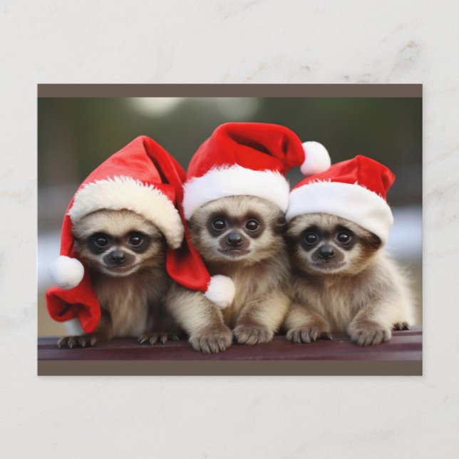 Tarjetas Postales de Animales Festivos (Anverso)