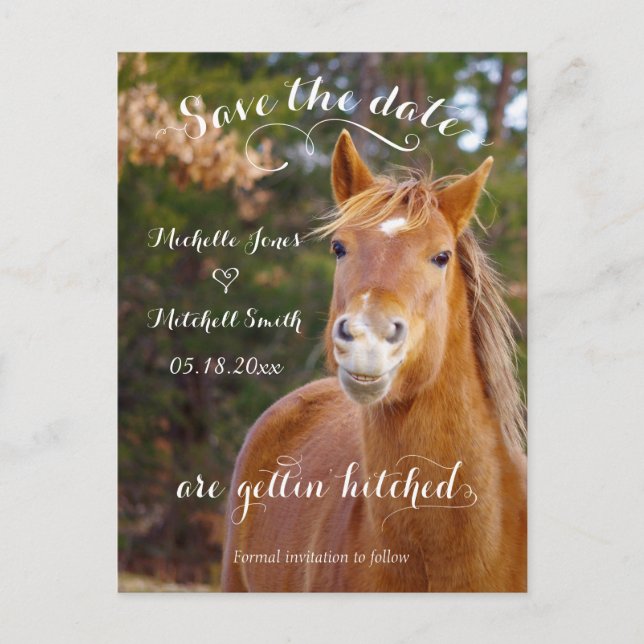 Tarjetas Postales de Anuncio de Boda de Caballo So (Anverso)