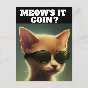 Tarjetas postales de arte de gatito con gafas de s