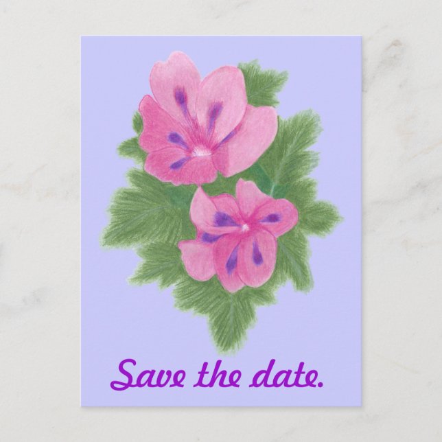 Tarjetas Postales de Aviso de Pink Purple Geranium (Anverso)